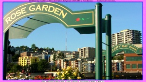 Click here for slides of Seattle's Elliott Bay Park Flowers