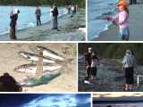 Link to Bush Point Fishing