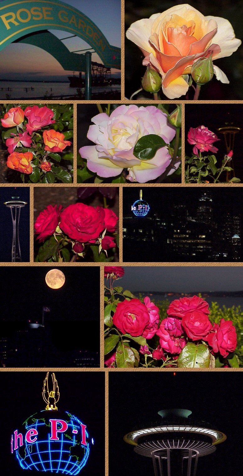 Elliott Bay after Dark - 8/15/00