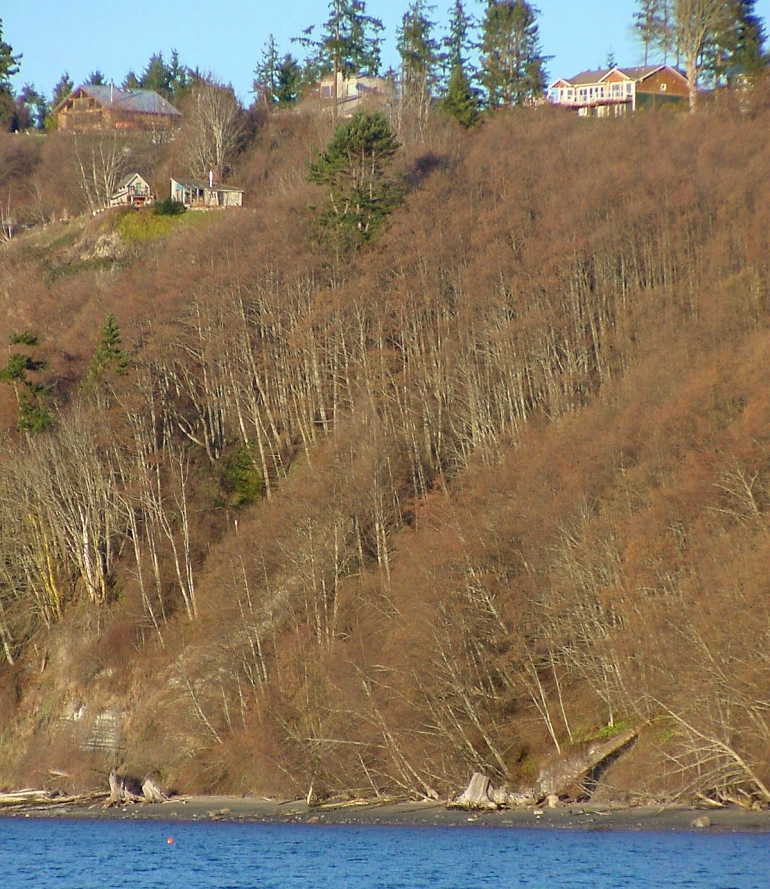House and Bluff Viewed from Beach - 2/19/01