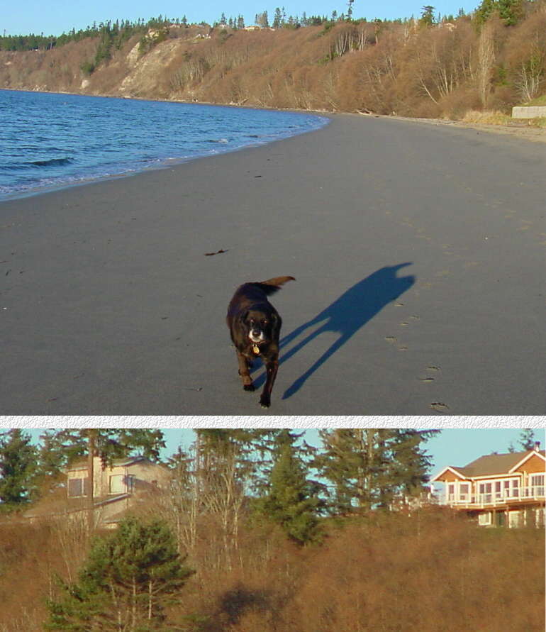 House Viewed from Beach - February 19, 2001