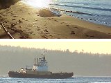 Link to Bush Point Beach and Boats