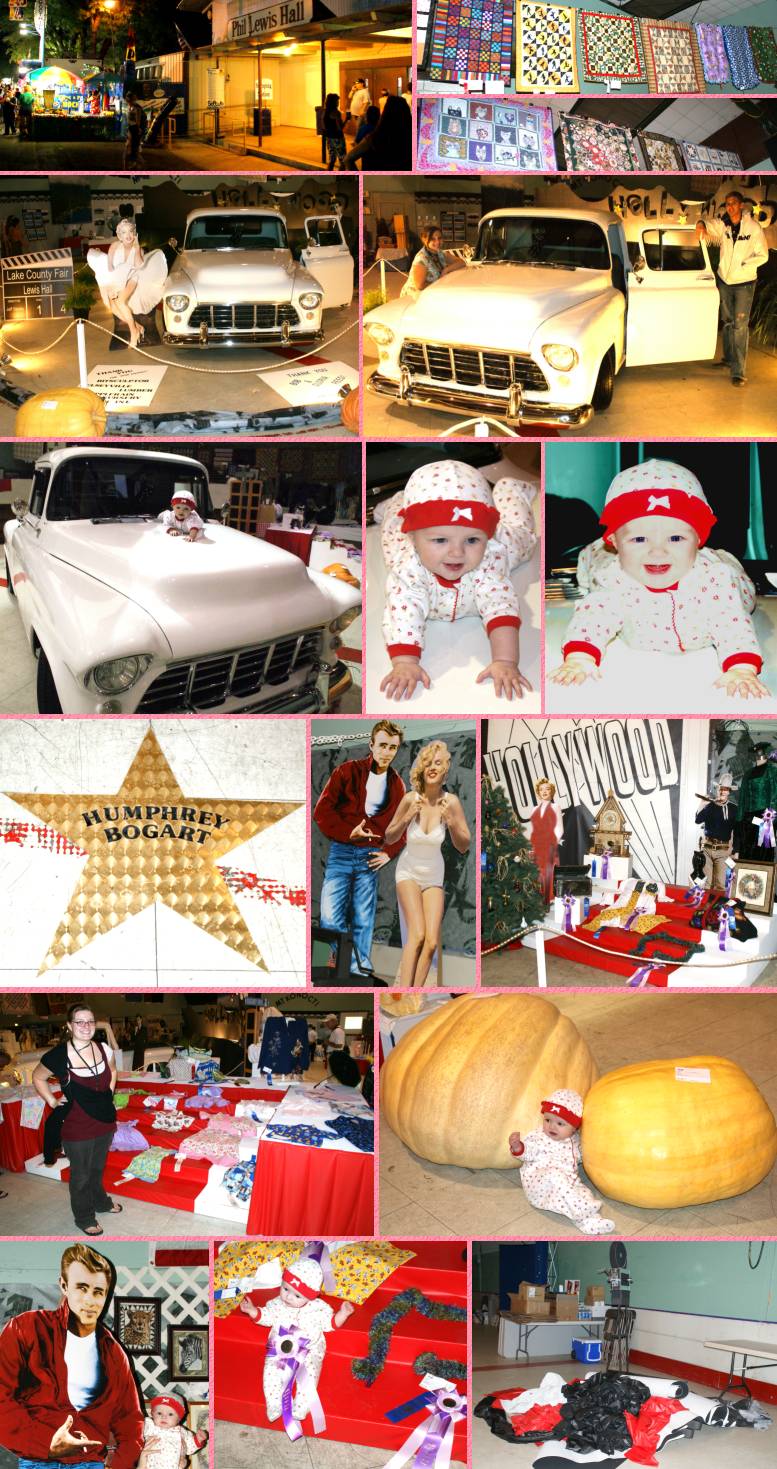 Charlie's First Fair Decorating - 8/28/08 - 9/1/08
Click this collage to enlarge it...