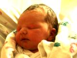 Link to Constanze's New Daugher"Charle"
