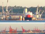 Link to Elliott Bay Cranes - 8/8/01