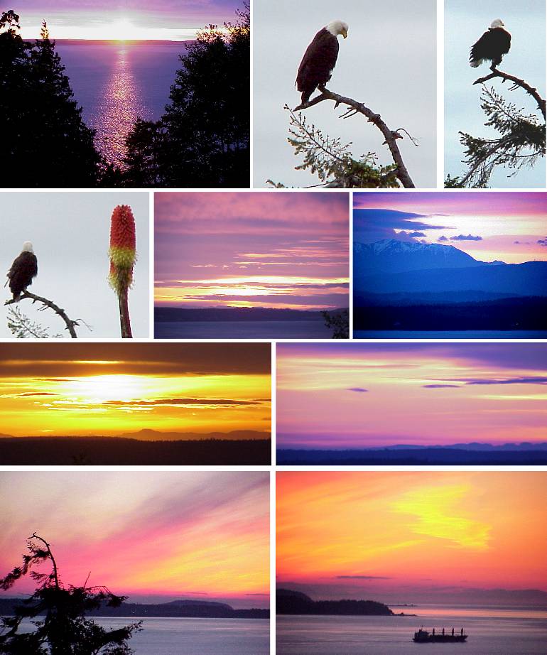 Sunsets and Eagle