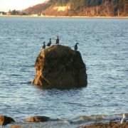 Link to Facebook album "Bush Point Beach - February 19, 2009"
