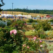 Link to Facebook album "Loganberry Festival - Children's Carnival - July 25 and 26, 2009"