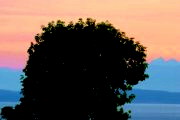 Link to Facebook album "A Red Sunset Ended a Hot Day - July 28, 2009"