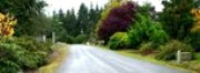 Link to Facebook album "Rhodie Lane's Fall Colors - October 23, 2010"