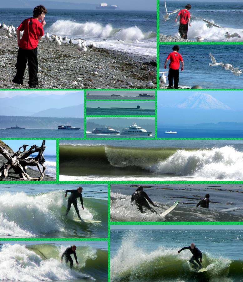 Gio's Beach Hike at Fort Ebey - 6/23/05
( Click the collage to enlarge it ... )