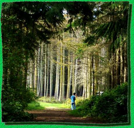 One of Gio's favorite hiking trails - Fort Ebey - 4/28/06