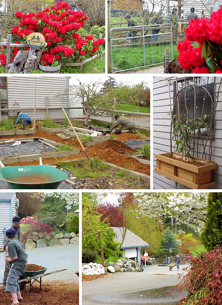 Mulching the Gardens, Top - April 16, 2000