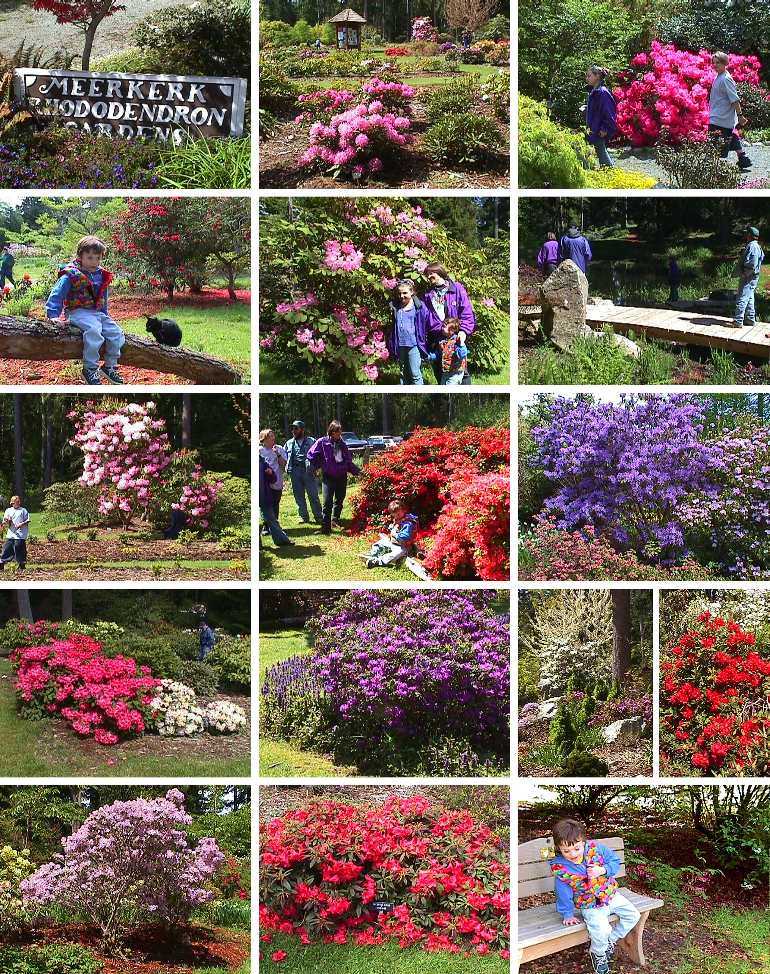 Meerkerk Rhododendron Gardens