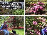 Link to Greenbank Area