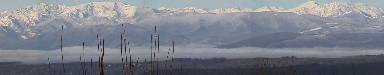 Link to Panorama Of Olympic Mountain Peaks