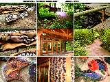 Link to Outdoor Classroom