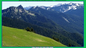 Click here for slides of Hurricane Ridge