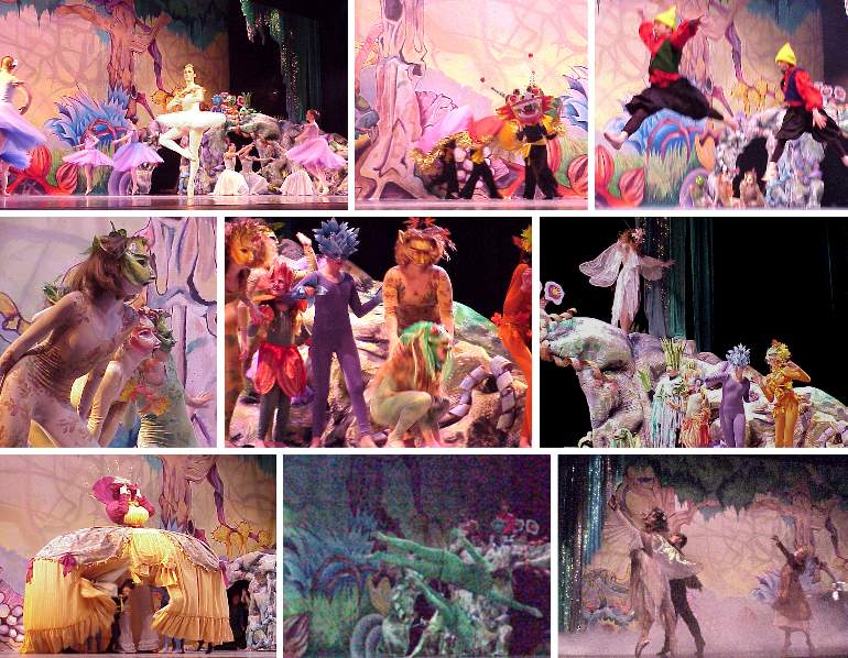 Langley's Spectacular Nutcracker, Act II
(Click to enlarge)