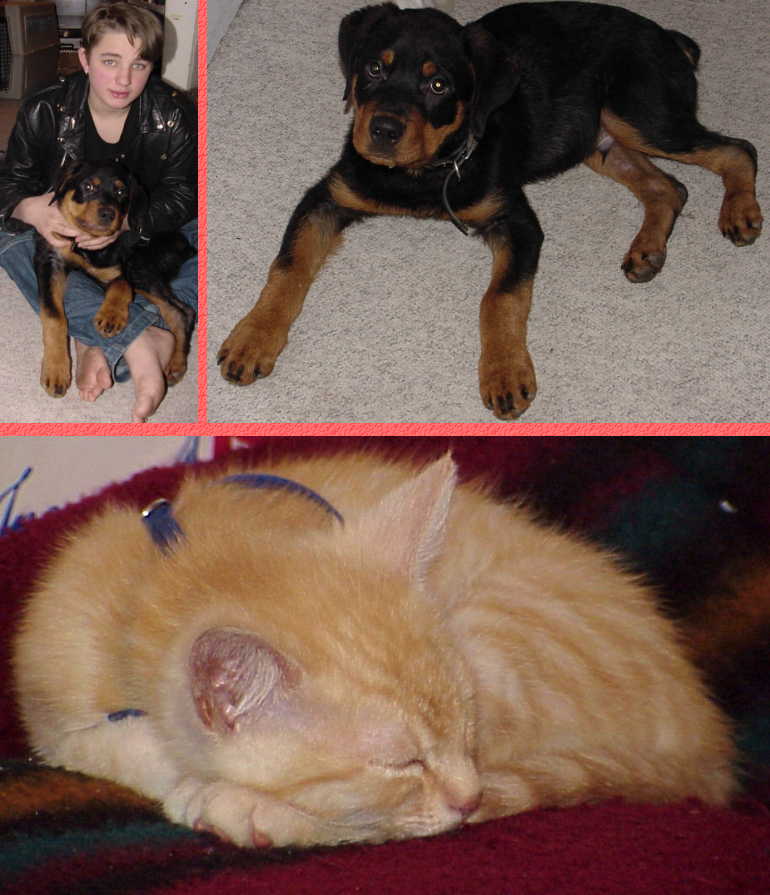 Phil's Pets Dawg and Skeeter