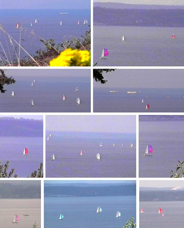 Regatta
