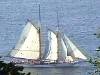 Link to More Ships