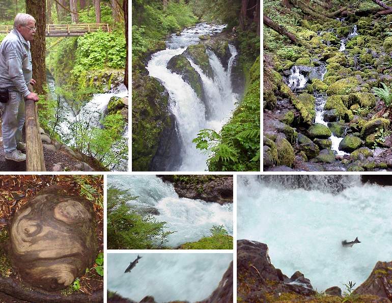 Sol Duc Falls and Salmon Cascade