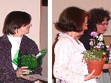 Link to South Whidbey Youth Center 10th Anniversary