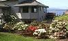 Link to House