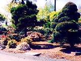 Link to Rhodie Lane