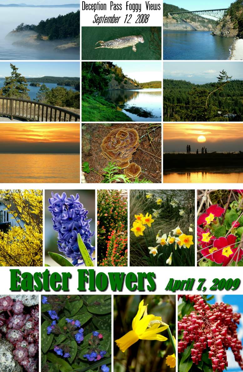 Sunday Service Song Scenes - April, 2009
( Click this collage to enlarge it... )