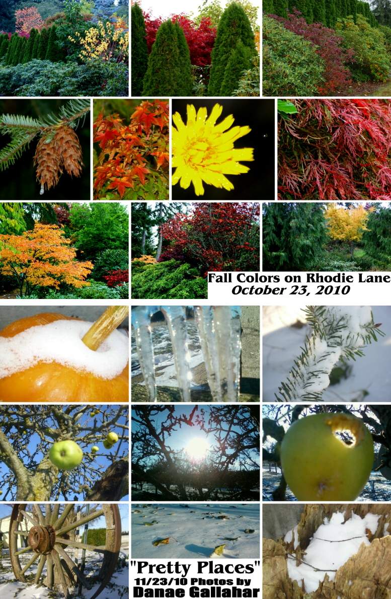 Sunday Service Song Scenes - November, 2010
( Click this collage to enlarge it... )