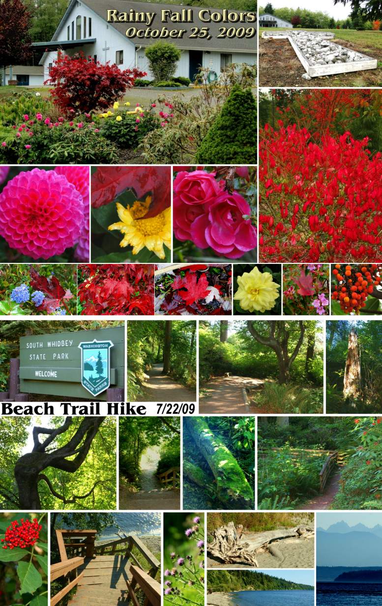 Sunday Service Song Scenes - November, 2009
( Click this collage to enlarge it... )