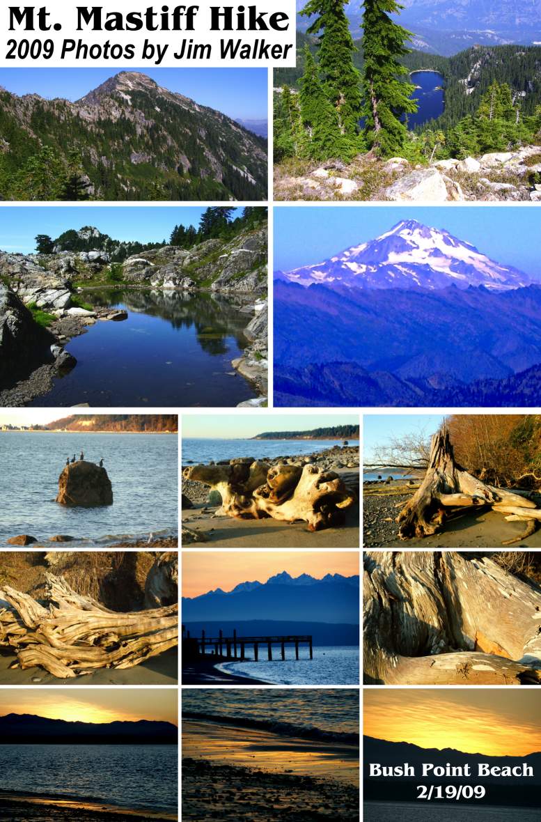 Sunday Service Song Scenes - October, 2009
( Click this collage to enlarge it... )