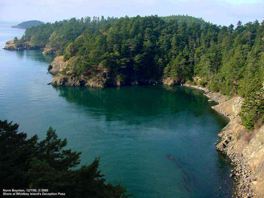 Shore at Deception Pass on Whidbey Island
- 1024 x 768