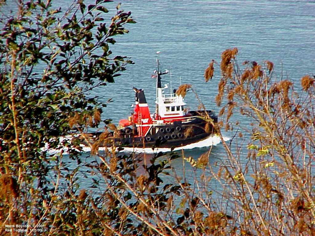 Tugboat Passing Our Home
- 1024 x 768
