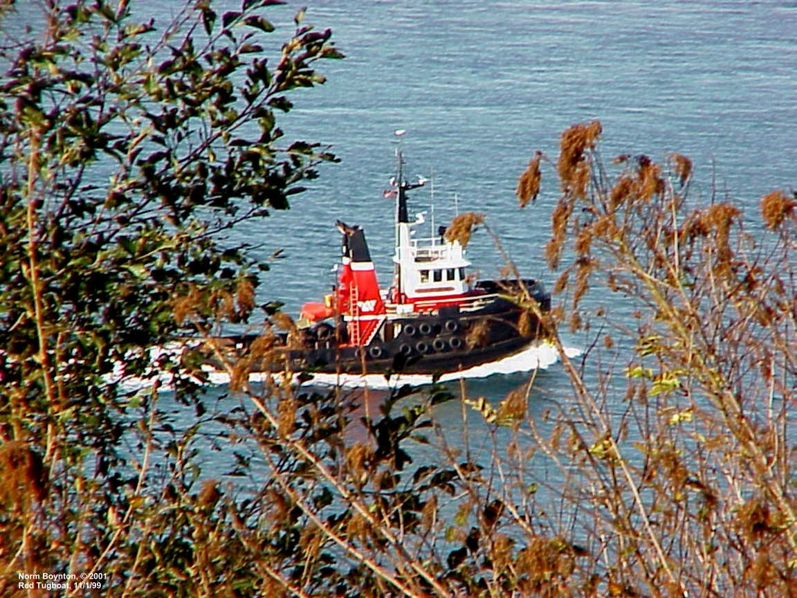 Tugboat Passing Our Home
- 1152 x 864