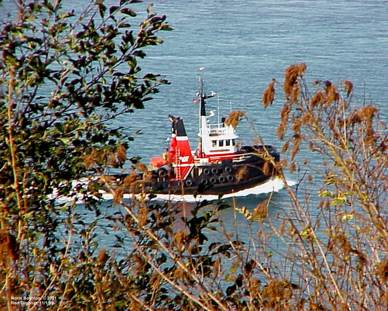 Tugboat Passing Our Home
- 1280 x 1024