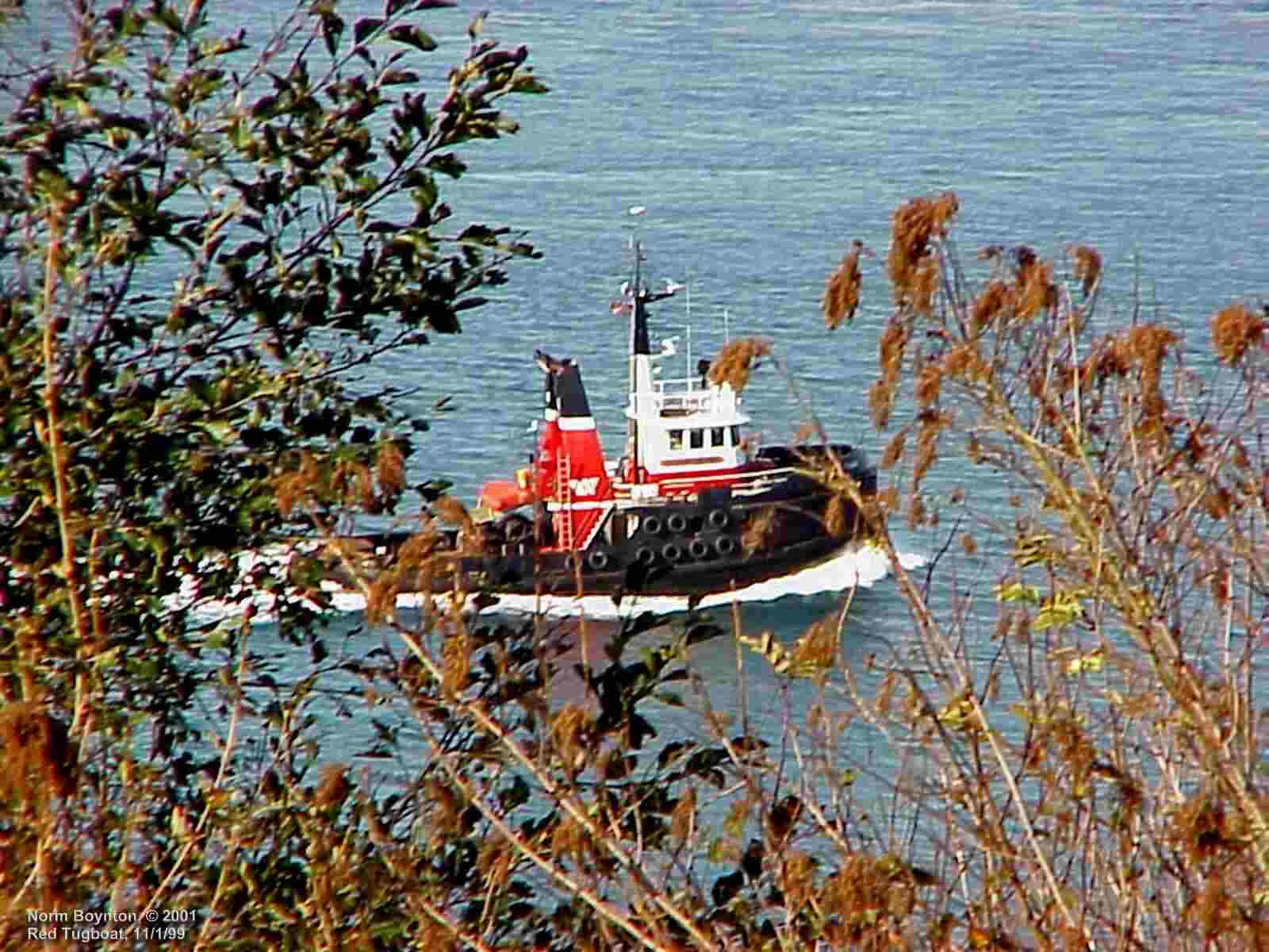 Tugboat Passing Our Home
- 1600 x 1200