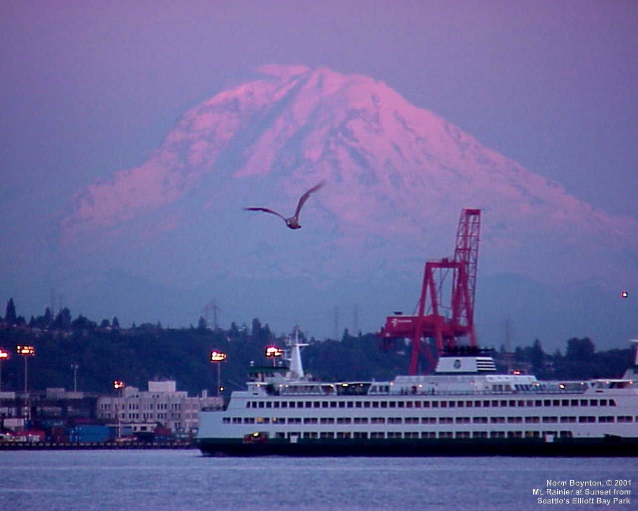 Mt. Rainier at Sunset from Seattle's Elliott Bay Park - 1280 x 1024