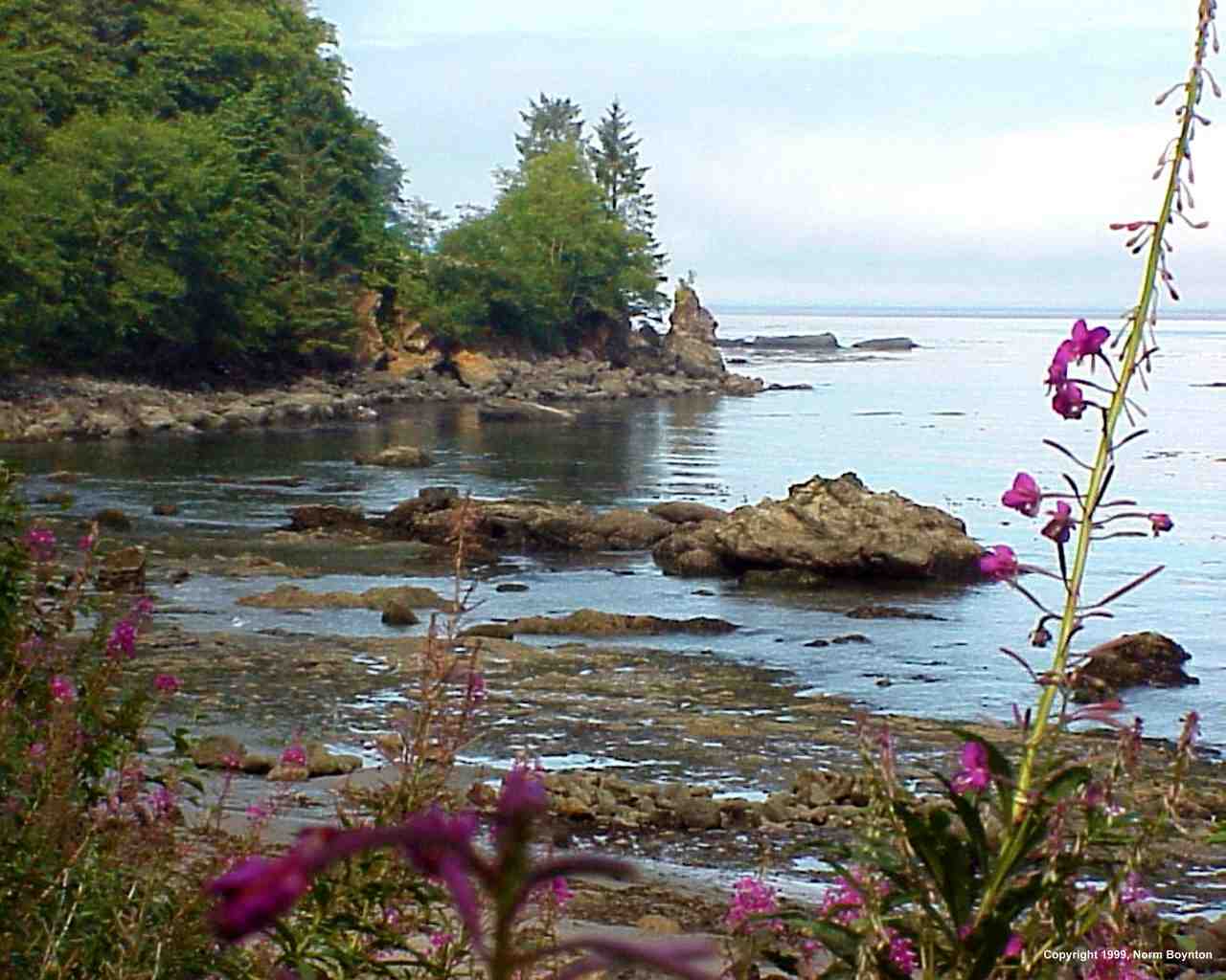 Olympic Coast - 1280 x 1024
