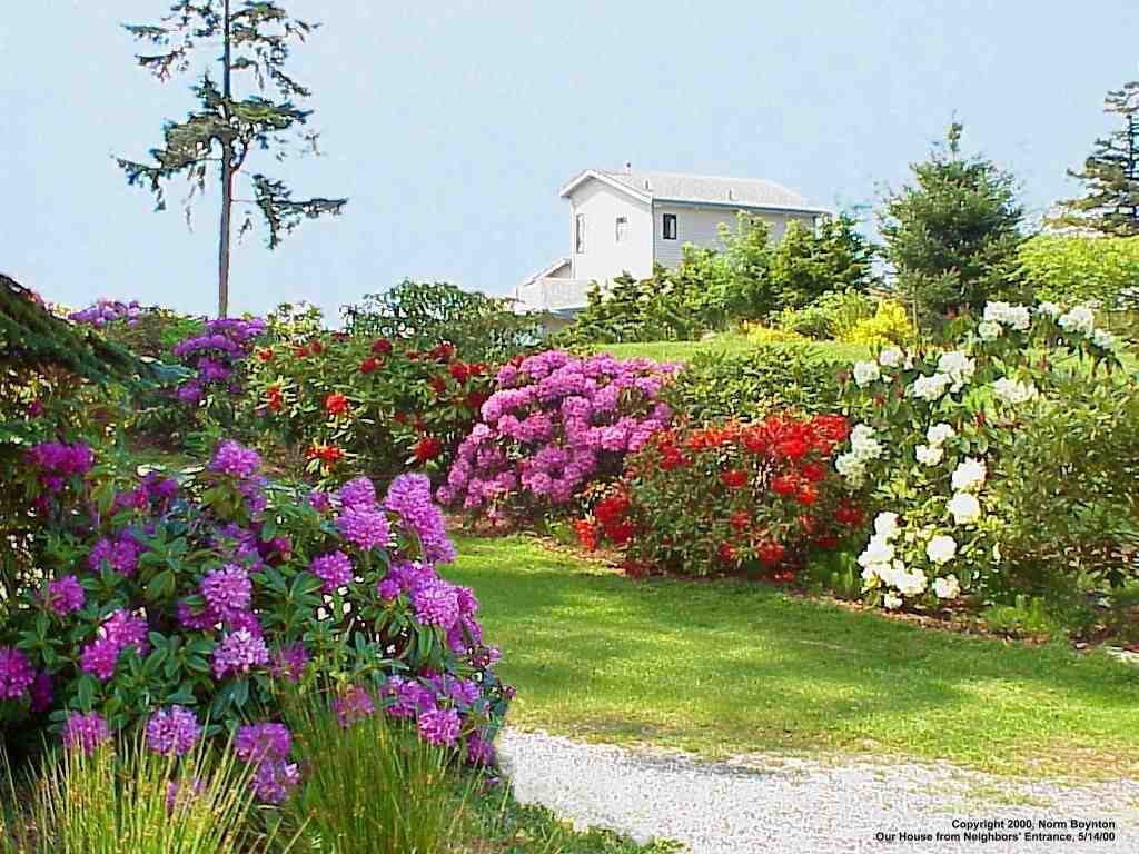 Wallpaper Photo - "Our House from Neighbors'" - 1024x768