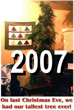 Link to 2007 Christmas Card