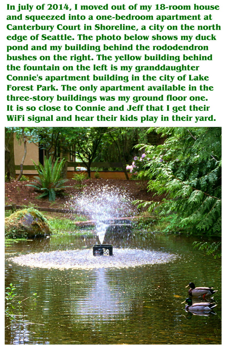 2014 Christmas Card - Inside Left