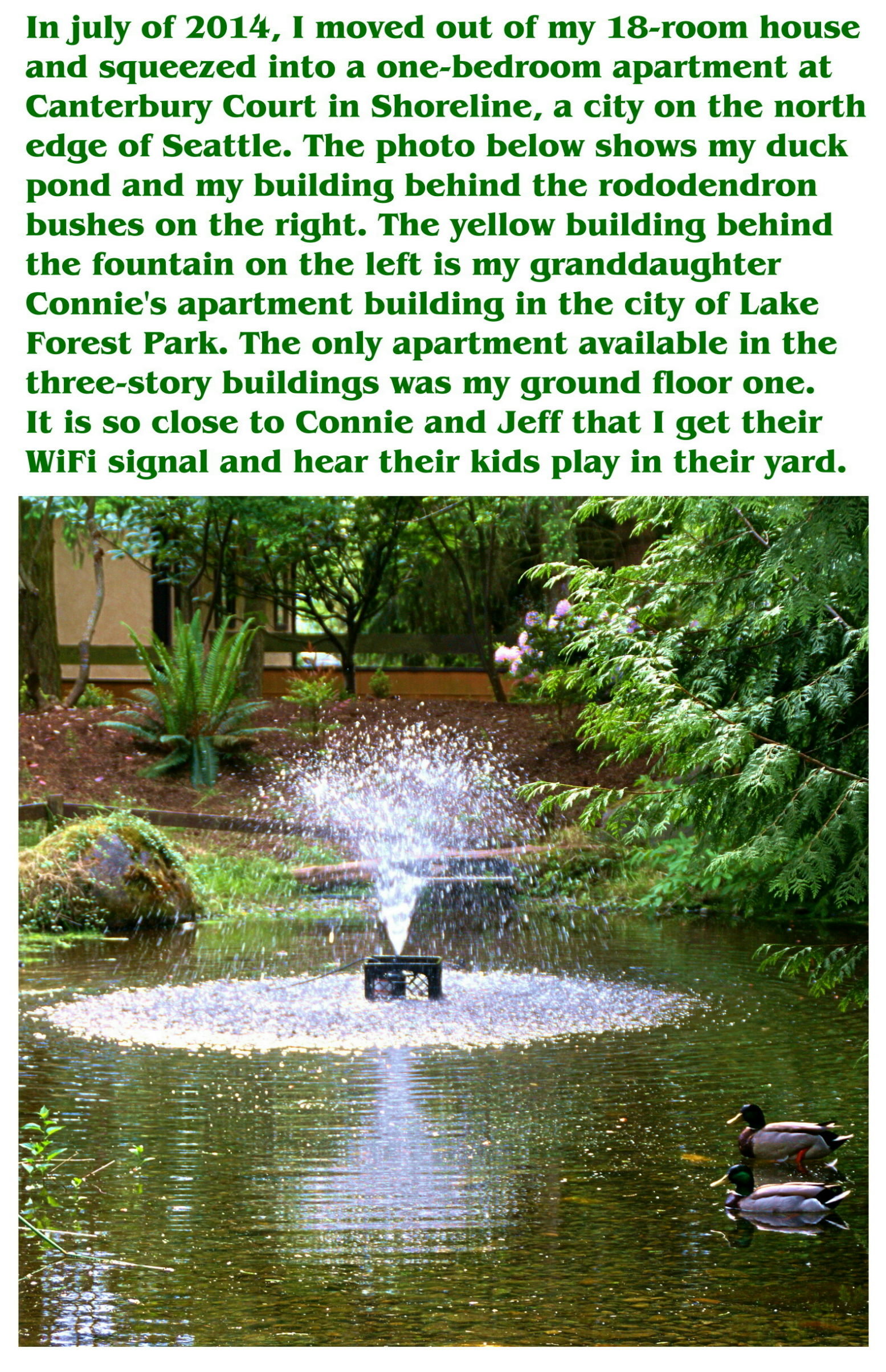 2014 Christmas Card - Inside Left Enlarged
