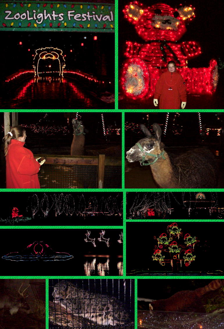 ZooLights Entrance - Battle Creek's Binder Park Zoo - 11/26/00
(Click to enlarge)