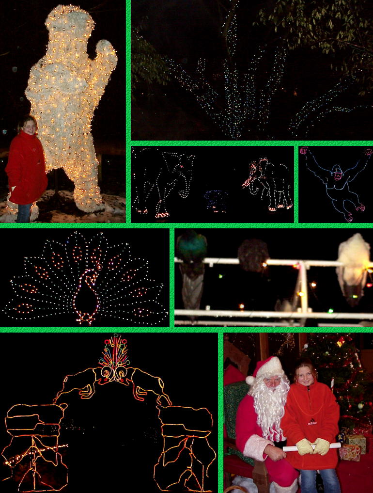 ZooLights Santa - Battle Creek's Binder Park Zoo - 11/26/00
(Click to enlarge)