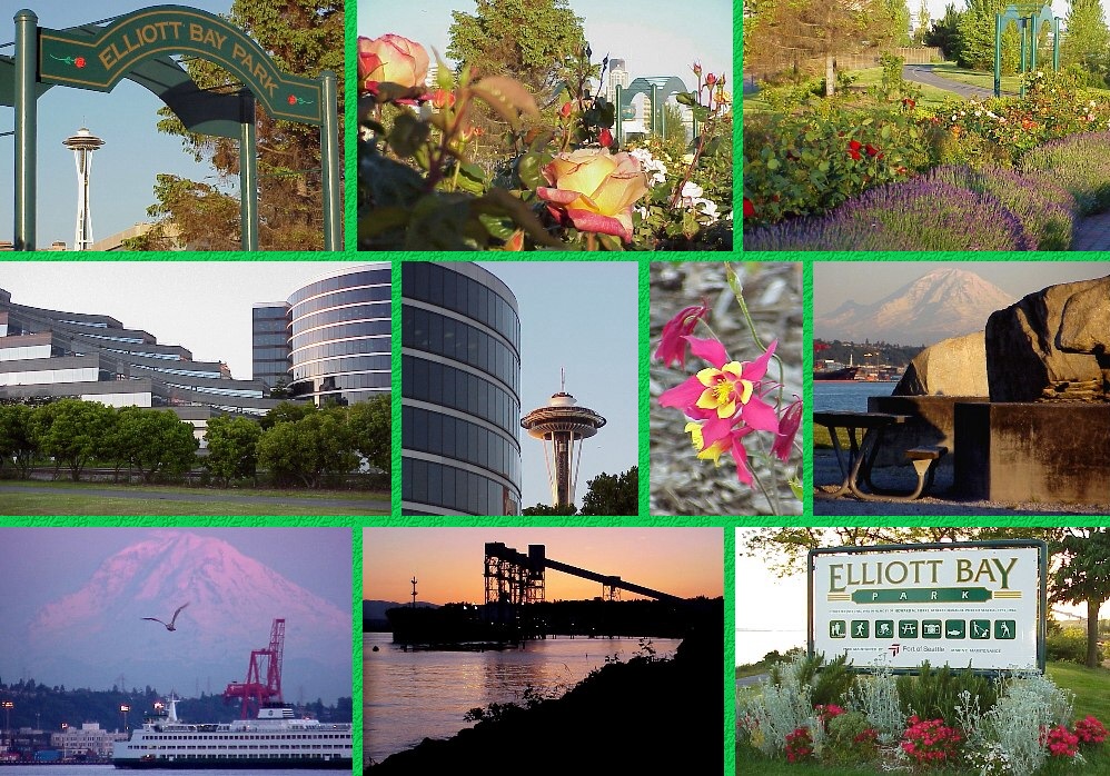 Elliott Bay Park - June 2, 2000