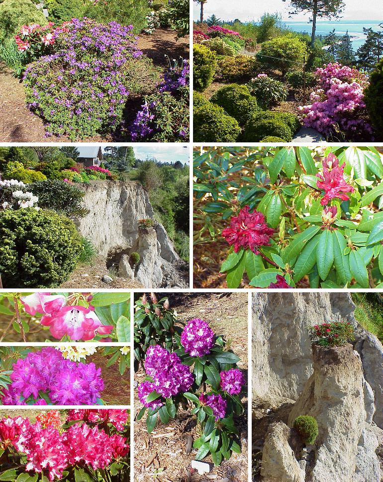 Frank's Garden, A Year Later - 5/6/00