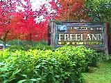 Link to Freeland